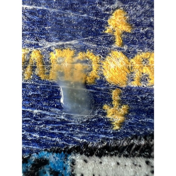 Nasa Spacelab 3 Microgravity Space Shuttle Patch - Picture 5 of 6